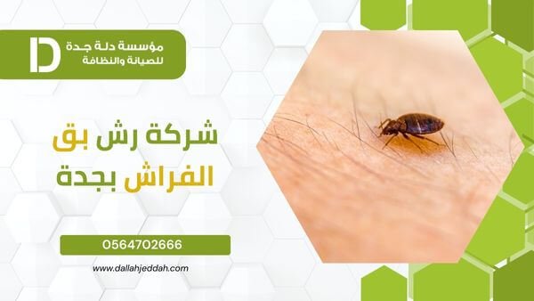 شركة مكافحة البق بجدة